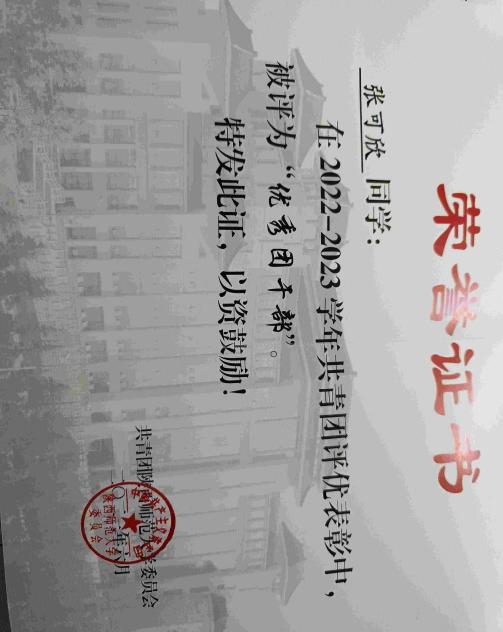 优秀团干部